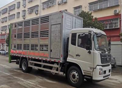 專業(yè)高效，動(dòng)物福利新標(biāo)桿——東風(fēng)天錦6.8米恒溫全鋁合金運(yùn)豬車解析