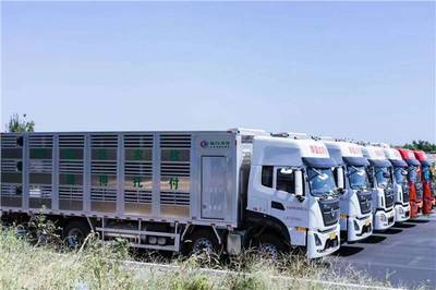 活禽運輸車（黃牌畜禽運輸車）分期按揭購車指南